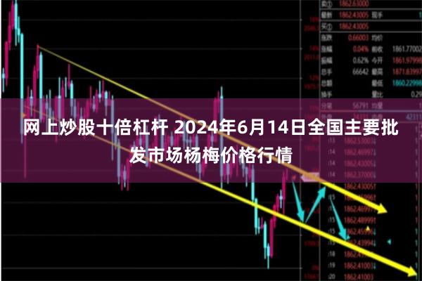 网上炒股十倍杠杆 2024年6月14日全国主要批发市场杨梅价格行情