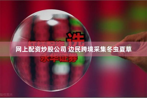 网上配资炒股公司 边民跨境采集冬虫夏草