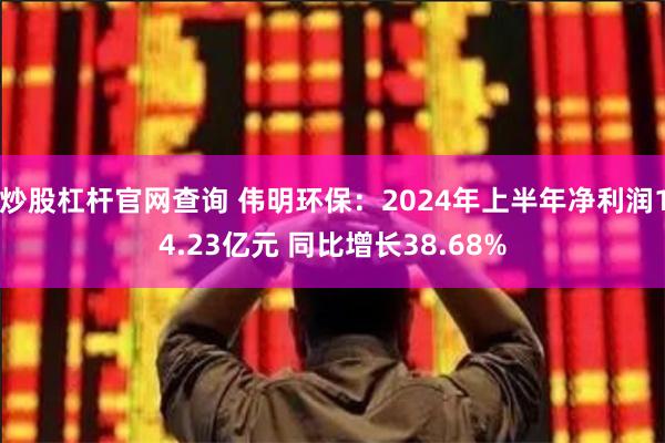 炒股杠杆官网查询 伟明环保：2024年上半年净利润14.23亿元 同比增长38.68%