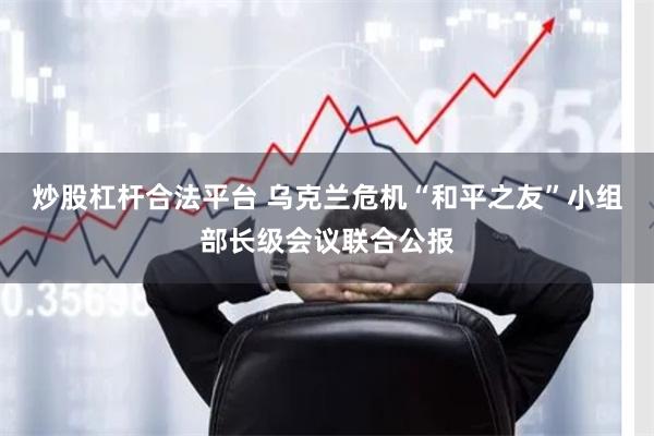 炒股杠杆合法平台 乌克兰危机“和平之友”小组部长级会议联合公报