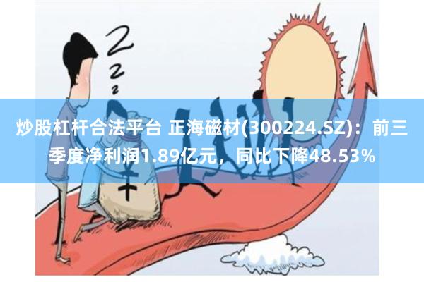 炒股杠杆合法平台 正海磁材(300224.SZ)：前三季度净利润1.89亿元，同比下降48.53%