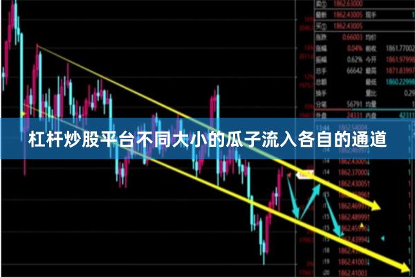杠杆炒股平台不同大小的瓜子流入各自的通道