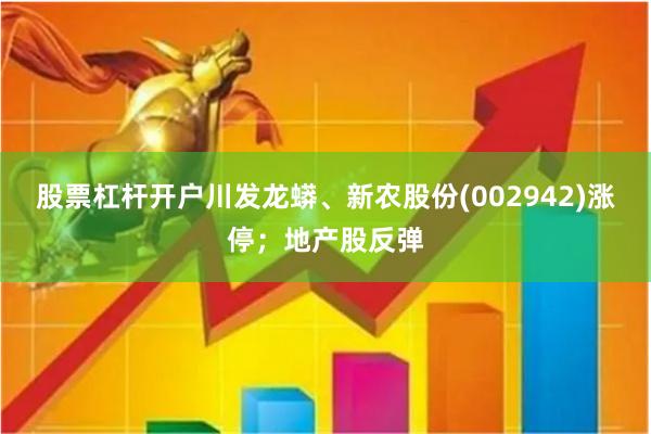 股票杠杆开户川发龙蟒、新农股份(002942)涨停；地产股反弹