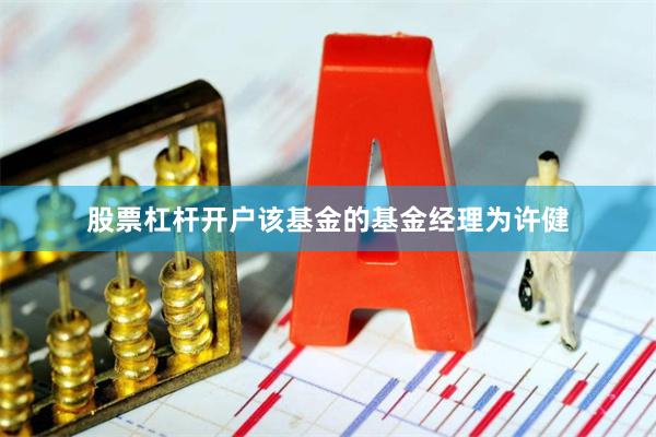 股票杠杆开户该基金的基金经理为许健